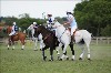 UKPA  NC Sat_1427